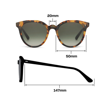 Aaryn Blonde Tortoise Handcrafted Sunglasses